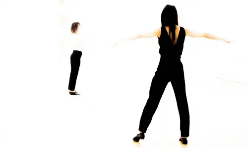 Learning (For Claude Shannon) de Liz Santoro & Pierre Godard
