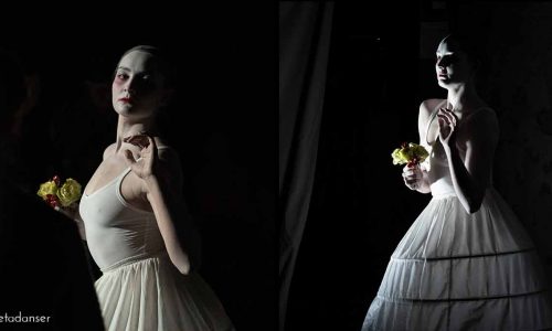 L’Epouse et La Ménagère de Rebecca Journo