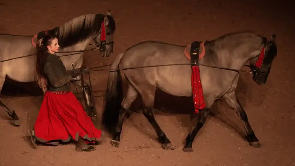 Bartabas - Académie Equestre de Versailles