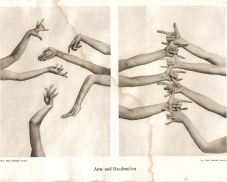 "Etudes de mains", Marys Wigman par Charlotte Rudolph