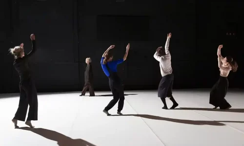 Les Transparents, Anne-Sophie Lancelin