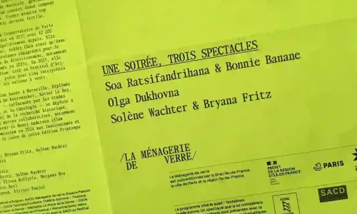 Vive le sujet ! Tentatives : 3 duos de danse aux Inaccoutumés