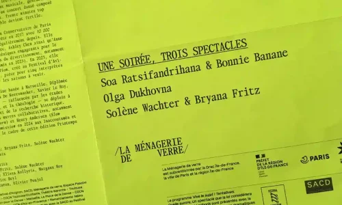 Vive le sujet ! Tentatives : 3 duos de danse aux Inaccoutumés